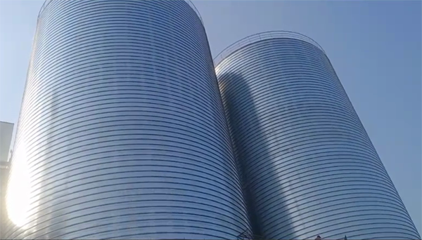 武宁2座混凝土高架卷板仓